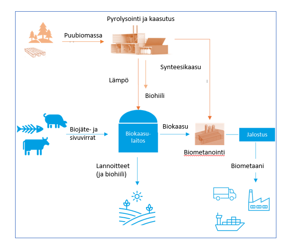 Kaaviokuva Wood2Biogas-konseptia vastaavasta kokonaisprosessista. Kaaviossa on pienillä kuvakkeilla esitetty pääprosessit ja nuolilla niihin tulevat syötteet ja vastaavasti niistä poistuvat tuotteet. Pääprosessit ovat pyrolysointi-kaasutusprosessi, biokaasulaitosprosessi ja biometanointiprosessi. Pyrolysointi-kaasutusprosessiin tulee syötteenä puubiomassa ja sieltä poistuu biohiili, synteesikaasu ja lämpö. Tämä lämpö syötetään biokaasulaitokseen, johon syötteenä tulee biojäte- ja sivuvirtoja, ja josta tuotteena poistuu biokaasu ja lannoitteet, jonka yhteydessä on mainittu suluissa biohiili. Biokaasu ja edellä mainittu synteeesikaasu -nuolet menevät biometanointiprosessiin, josta lähtee nuoli jalostuksen kautta biometaanituotteeksi. 