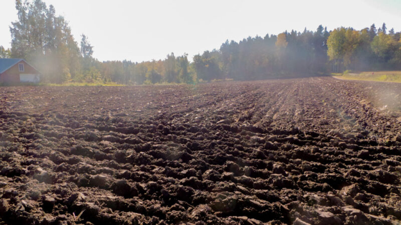 25.9.2017 Kasvikauden seuranta lohkolla on päättynyt, lohko kynnettiin 20.9.2017.