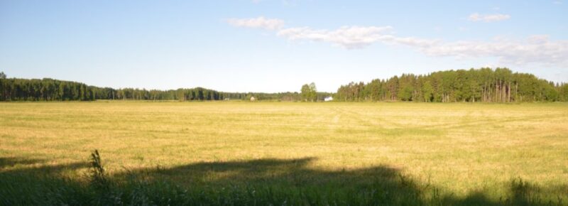 Pientä viehertymistä on tapahtunut.