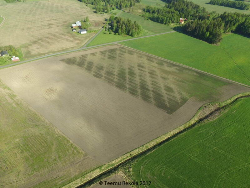 10.6. Kevätkynnetyllä osalla kapilaarinen vedennousu katkeaa kyntökerrokseen, ja pintamaa kuivuu, syyskynnös asettuu talven aikana, eikä katkoa synny, vaan kosteus nousee pintaan.