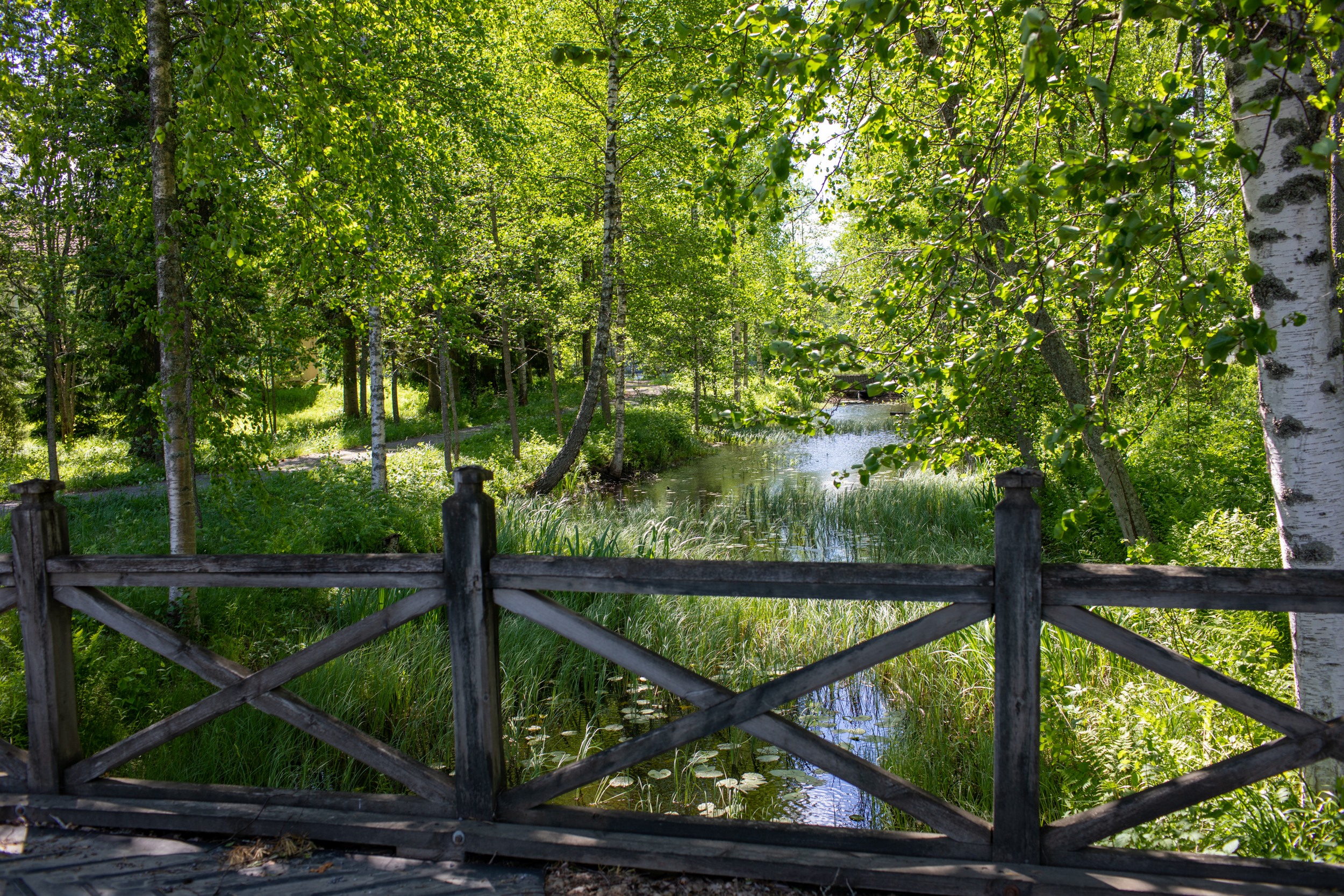 Metsä, kuvan edessä silta, jossa ristikko kaide. Kestävän kehityksen osaajan otsikko kuva.