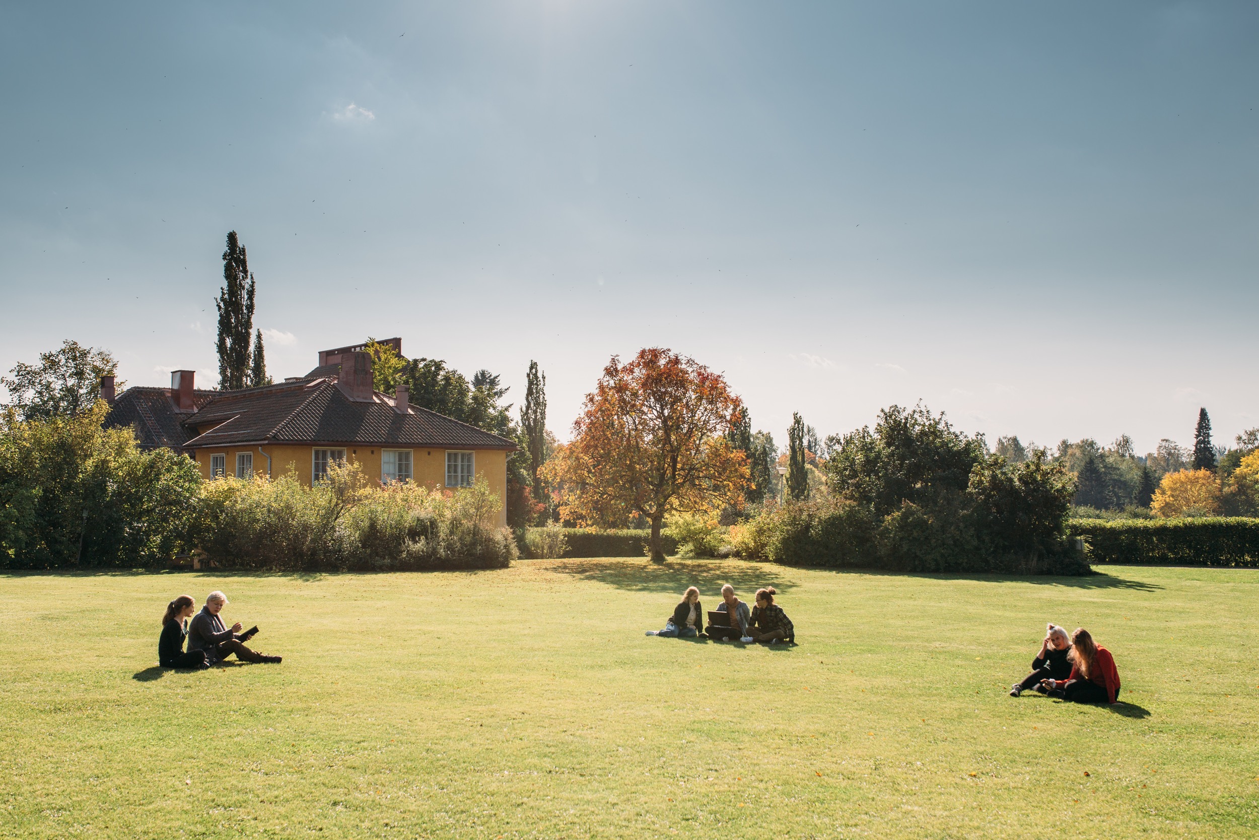 Students sitting on the grass.