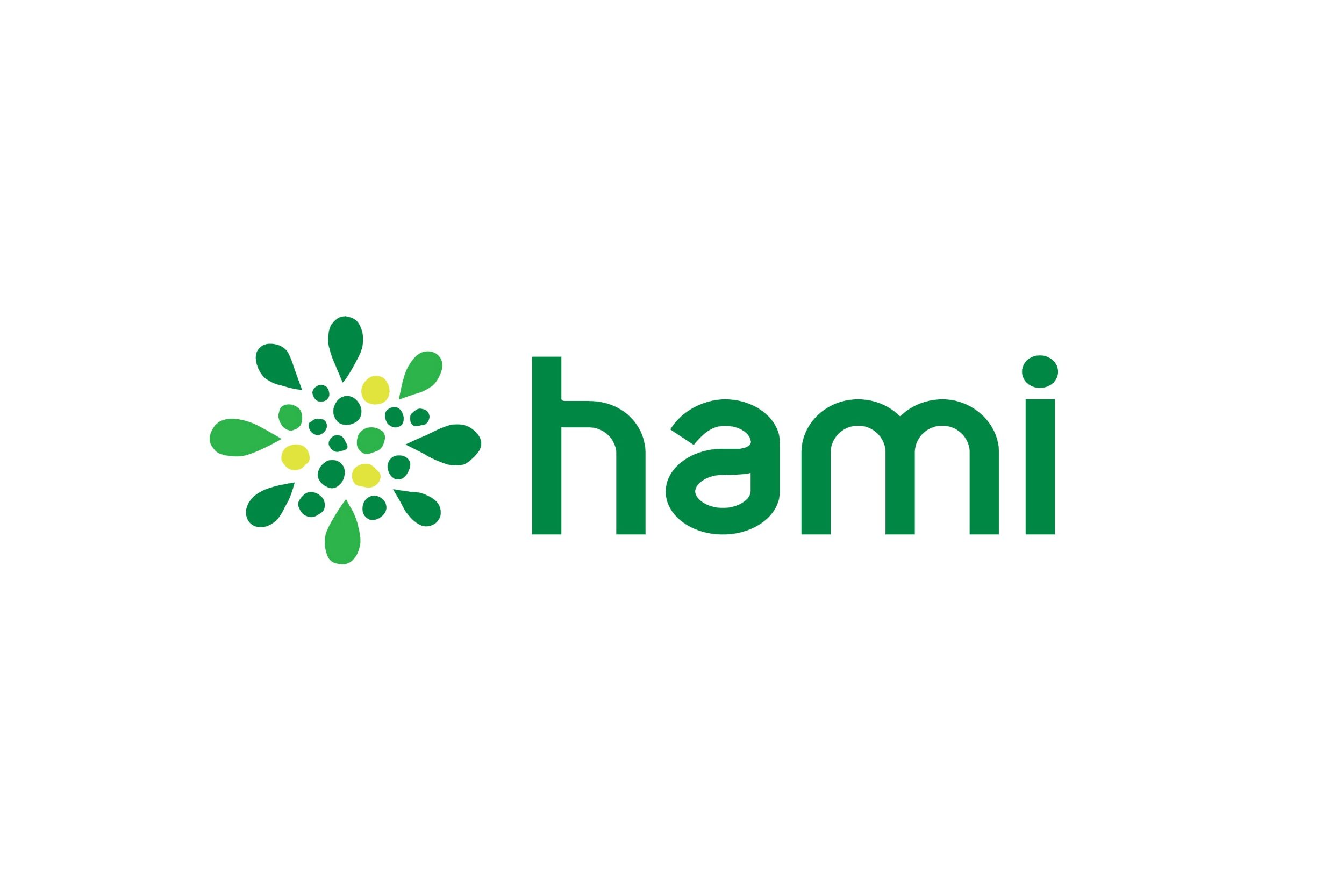 Hämeen ammatti-instituutti HAMIn logo valkoisella pohjalla.