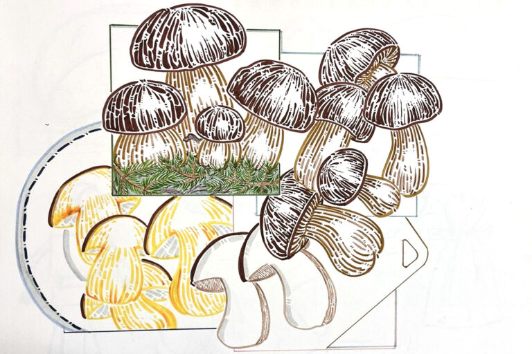 Sketch drawing of mushrooms