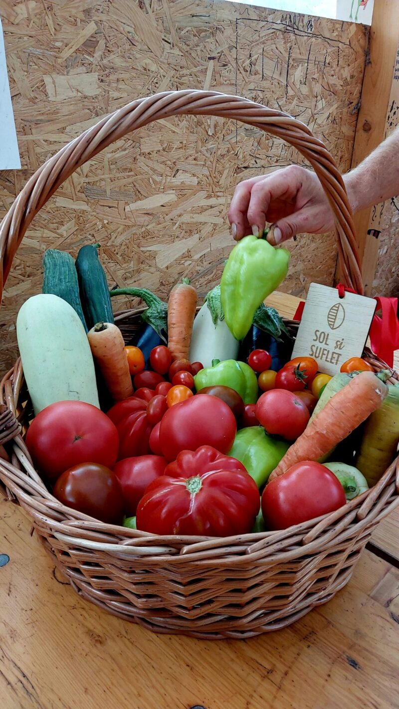 Basket full of vegetables