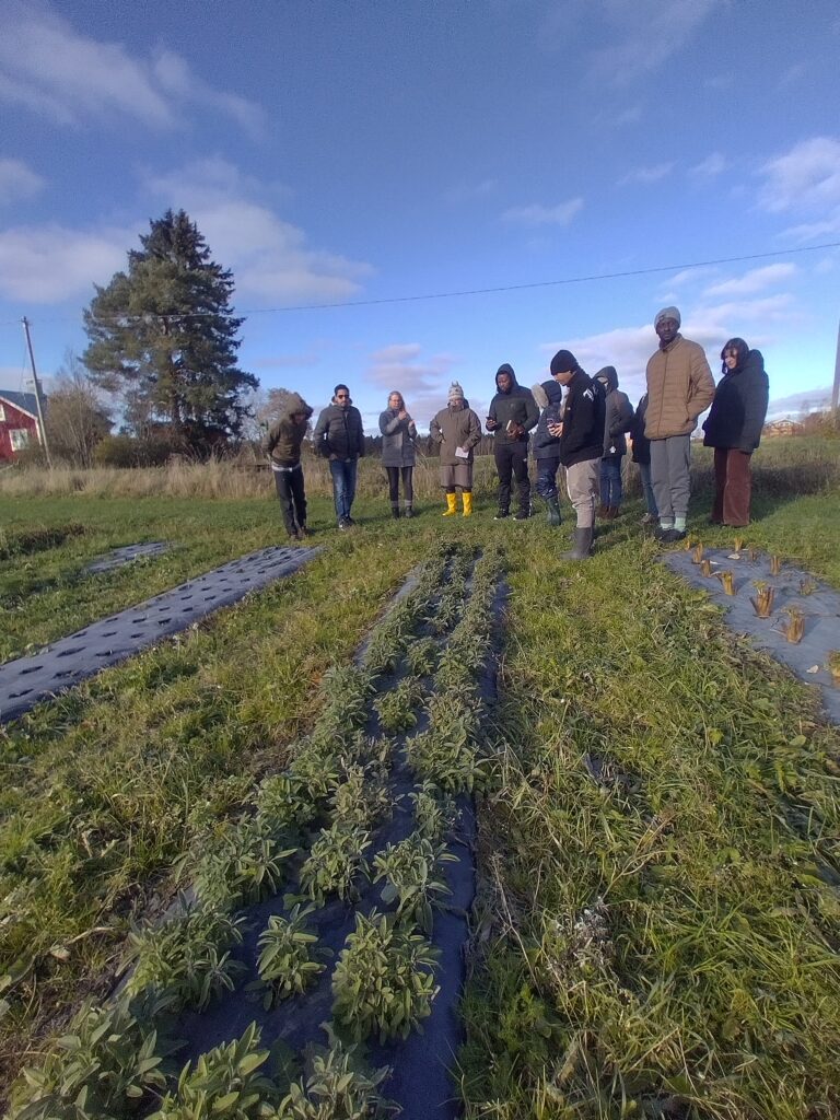 Projektiesimerkki, Tiiti Kämäri, CSA