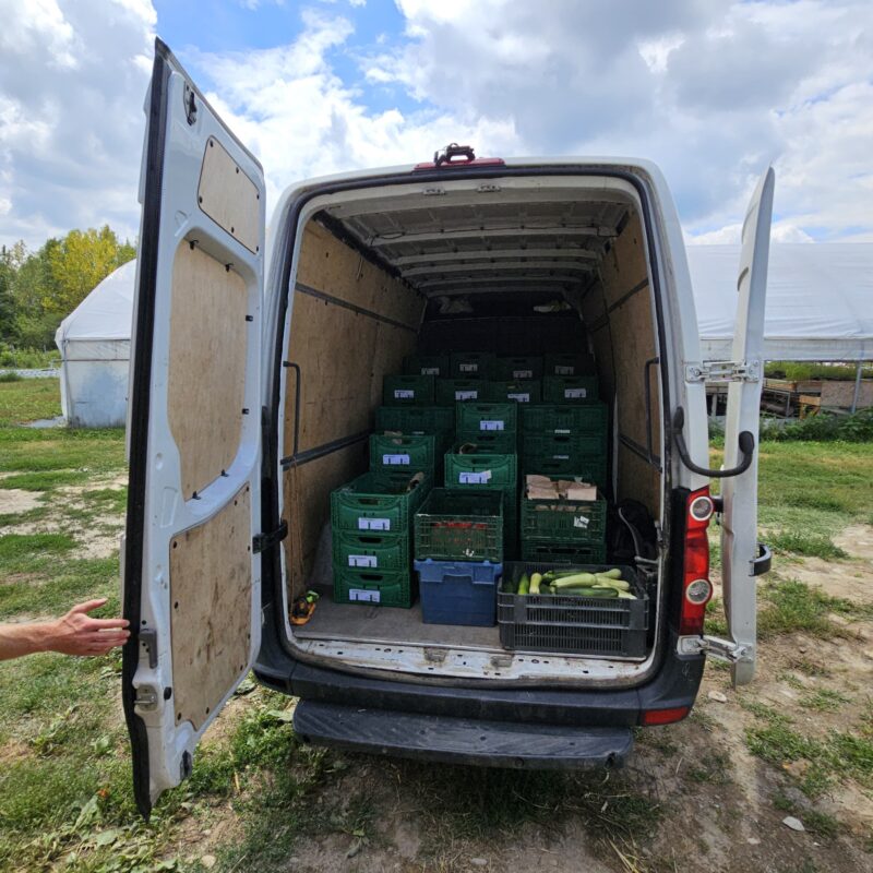 Delivery car for the vegetables