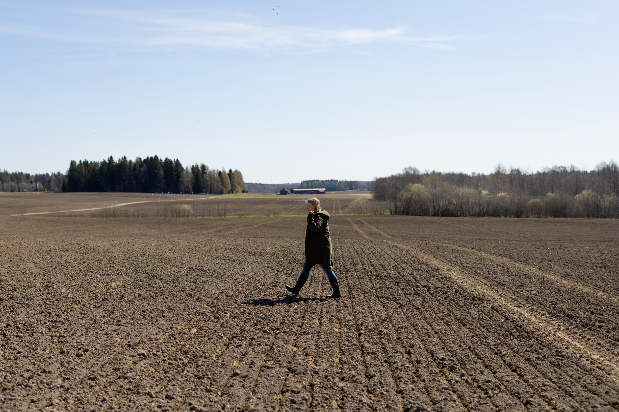 Mies kävelee pellolla/ A man is stading at a field